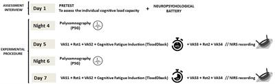 Cognitive Fatigue, Sleep and Cortical Activity in Multiple Sclerosis Disease. A Behavioral, Polysomnographic and Functional Near-Infrared Spectroscopy Investigation